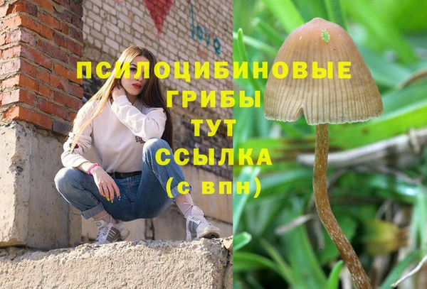 spice Баксан